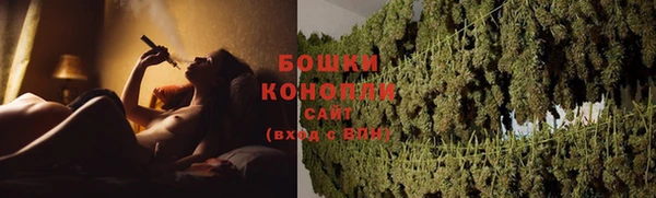 прущие грибы Горняк