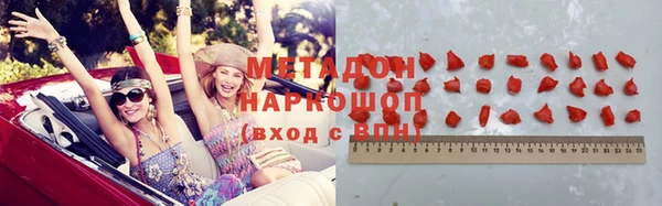 прущие грибы Горняк