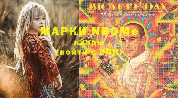 прущие грибы Горняк