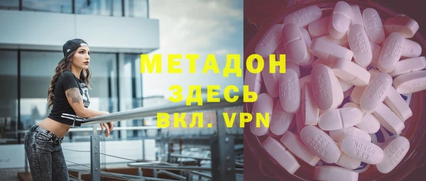 прущие грибы Горняк