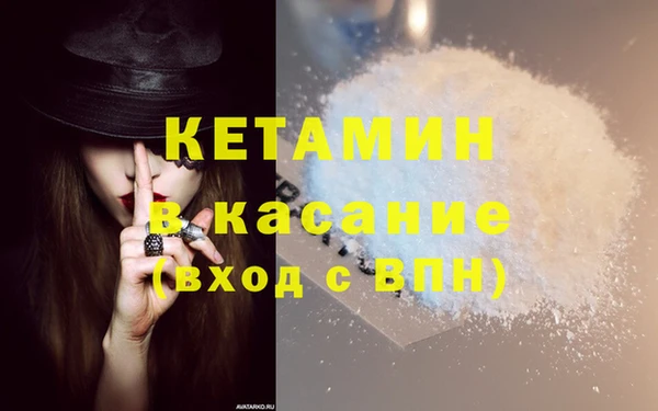 прущие грибы Горняк