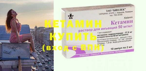 прущие грибы Горняк