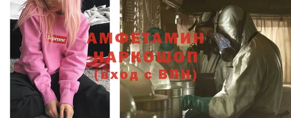 прущие грибы Горняк