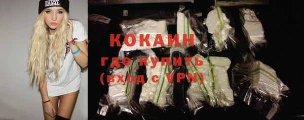 прущие грибы Горняк