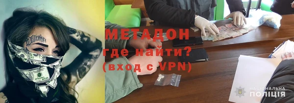 прущие грибы Горняк