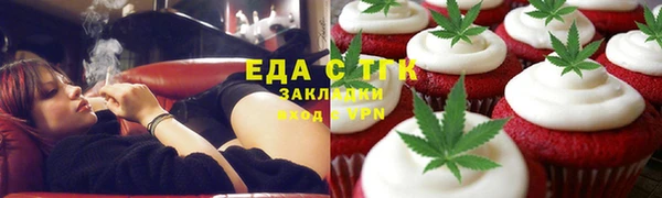 прущие грибы Горняк