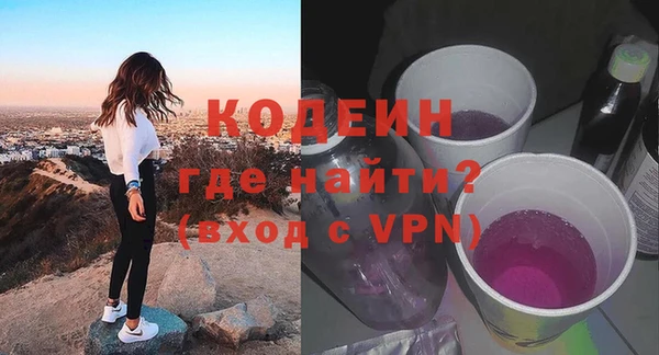 прущие грибы Горняк