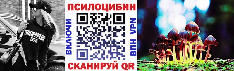 Галлюциногенные грибы GOLDEN TEACHER  Купить закладки  Мичуринск 